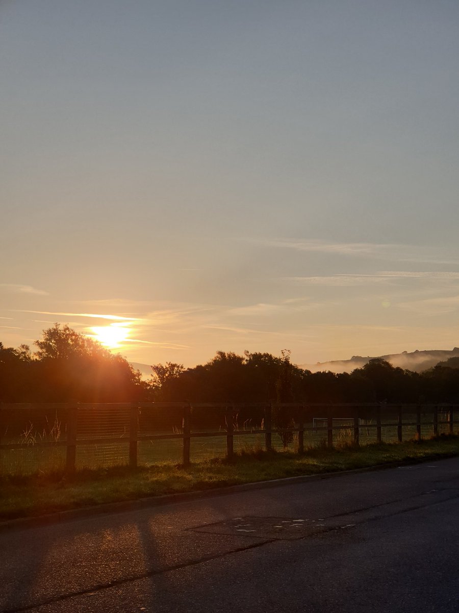 Bore Da! Niwl a haul yn codi wrth y Rheidol. Good morning folks. Misty sunrise along the Rheidol. #CaruAber #LoveAber #sunnyMornings