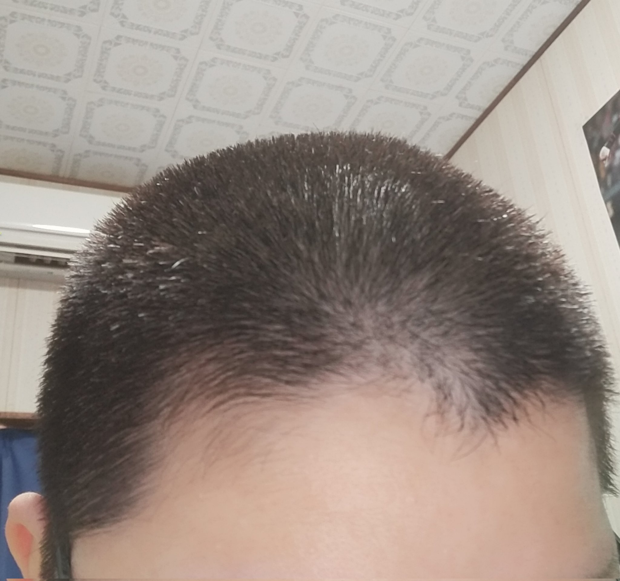 坊主女子 Twitter Search Twitter