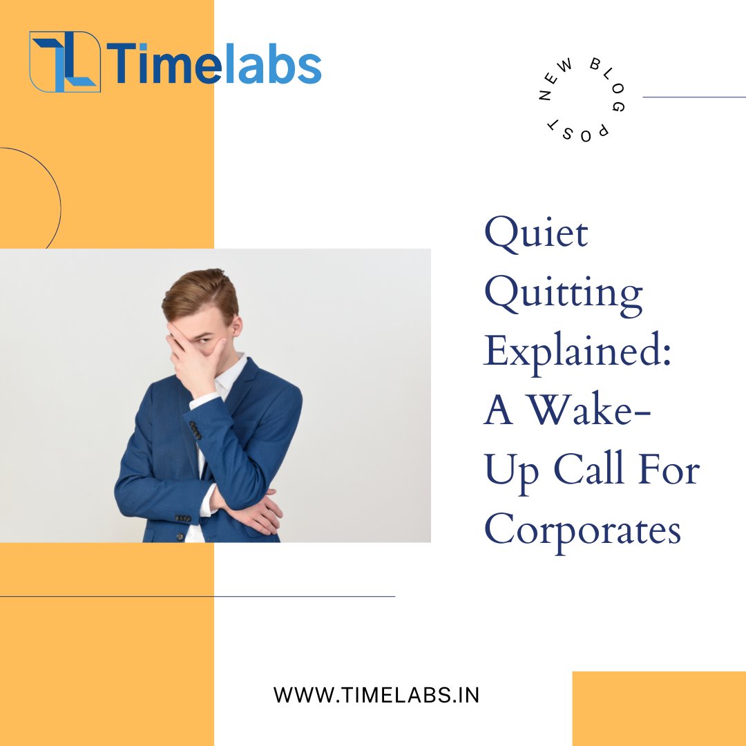 TimelabsPro tweet media