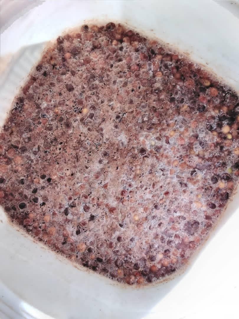 ElevationC0ffee's tweet photo. What would you expect to find in an experimental coffee ? As we are diving into the new Era of wild fermentation styles, elevating quality is our priority.
📸: @Origin_Cseries
#elevationcoffee #wildferment #newEra #qualitypriorities https://t.co/QWu0sCXzjR