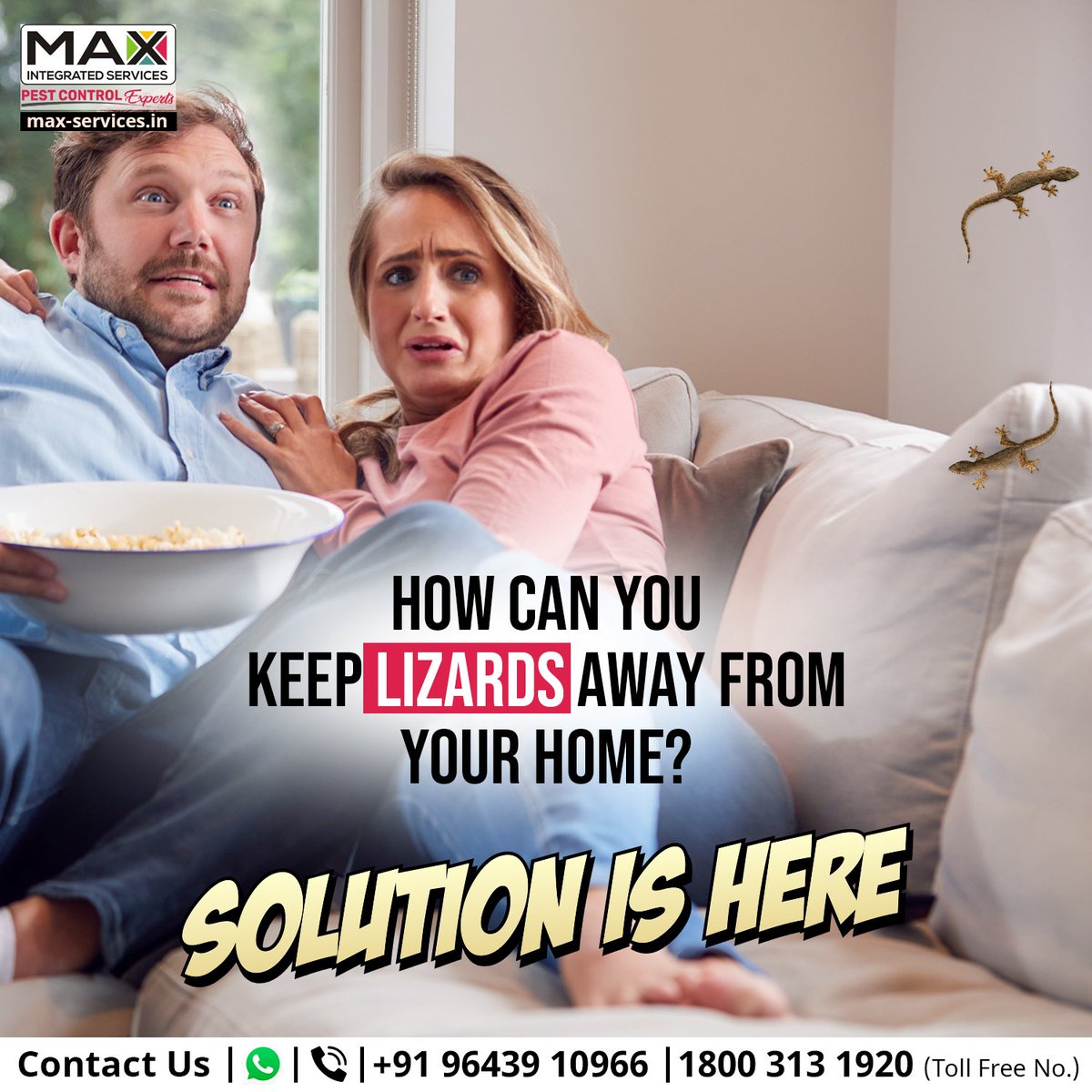 IntegratedMax's tweet photo. With Max integrated services, you can keep your home free of lizards. Lizards pest control is now easy and effective.
Book our service now
Visit our website:
https://t.co/stxXPtnHWX
+919643910966
+18003131920
#Maxintergated #pestcontrolexpert #lizardcontrolservices https://t.co/9itUi8rC30