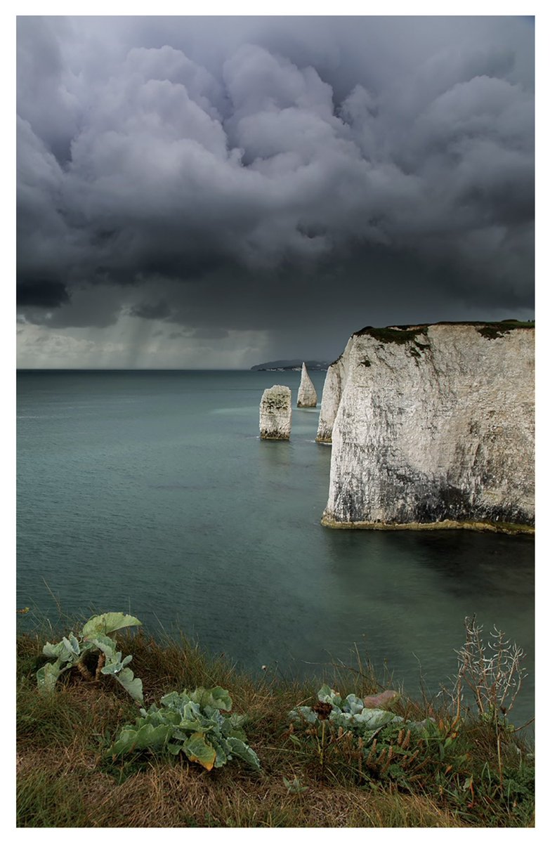 Some ridiculously ominous clouds captured quickly between deluges, whilst on a recent wander at Handfast Point, Dorset…

#JurassicCoast #Dorset
