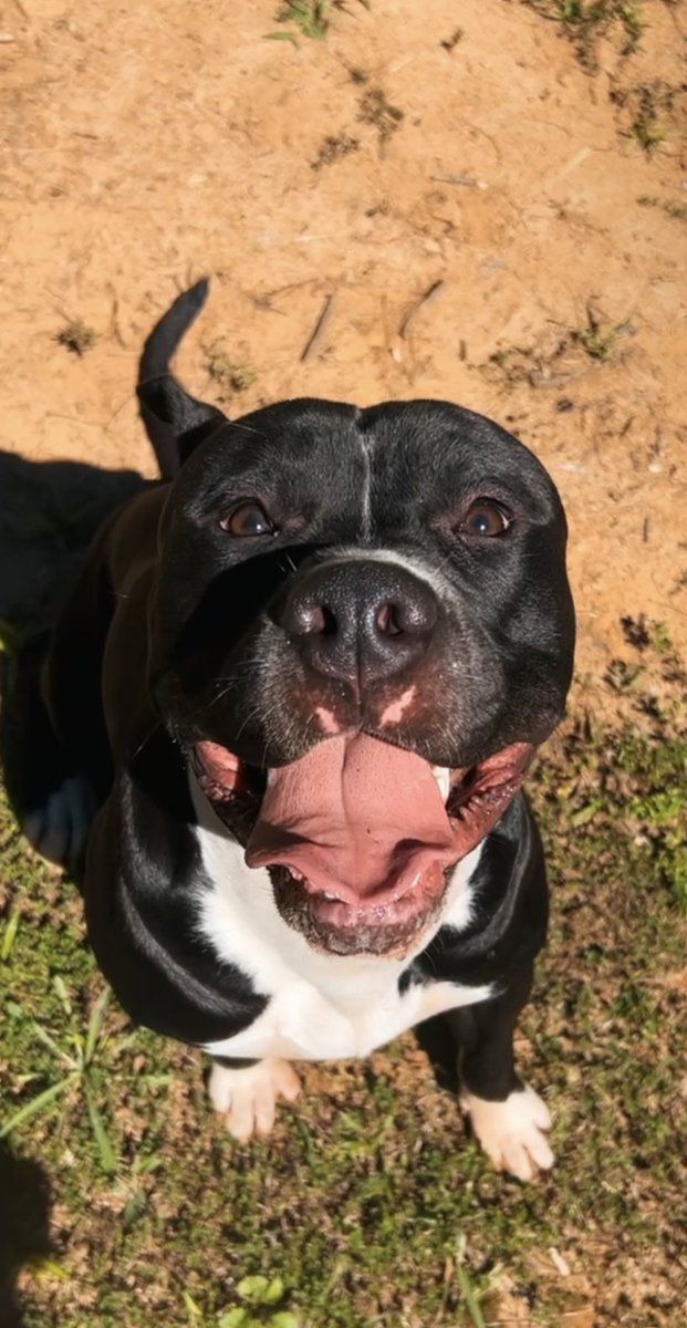 tifffftay's tweet photo. Happy boy 🥹🤪 https://t.co/ibYVch7iaw
