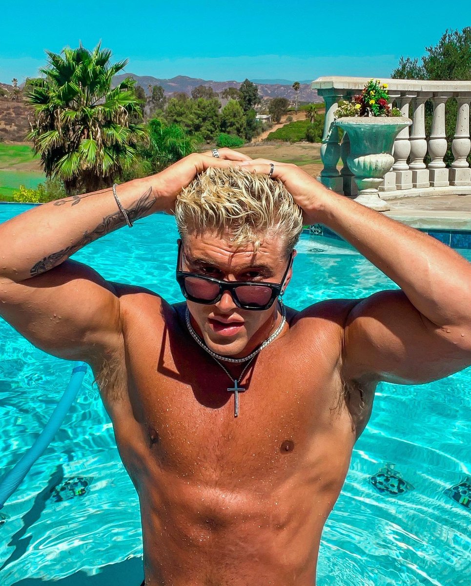 Nate Garner on Twitter: "Boy’s back on the bird app"