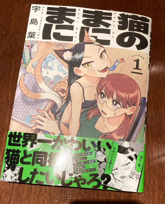 近所の大垣書店に売ってたんで買ってきた
蛍光グリーンのツヤツヤ帯が目印でございます 