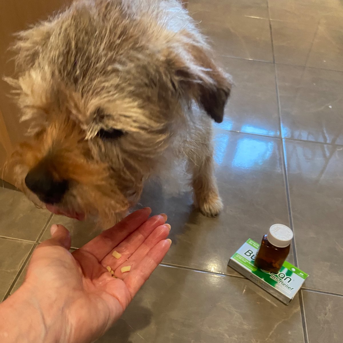 Forsh2020's tweet photo. @GrumpygrumpsT Hope you are feeling better this morning @GrumpygrumpsT 🤞
Betty had some of those ‘white bits’ in cheesy balls…….😋. #deviousmums 😘 https://t.co/9ihY80qaN3
