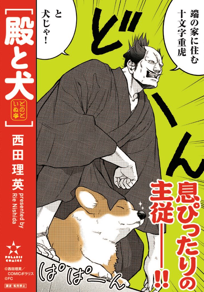 殿の名前は【十文字重虎】! 虎🐯と犬🐶で 息ぴったりの主従です✨ (股の下だけど) #殿と犬 #コーギー #とのといぬ