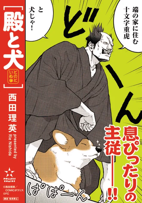 殿の名前は【十文字重虎】! 虎🐯と犬🐶で 息ぴったりの主従です✨ (股の下だけど)  #殿と犬 #コーギー #とのといぬ 