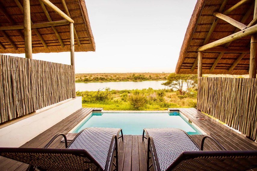 BuhalaLodge's tweet photo. The view from our elephant garden suites 🐘 
-
-
-
#krugerparkhotel #buhalalodge #safari #leopardcreekgolf #travelsouthafrica #mpumalanga #southafrica #safarilodge #familylodge https://t.co/zYTEbo0vQa
