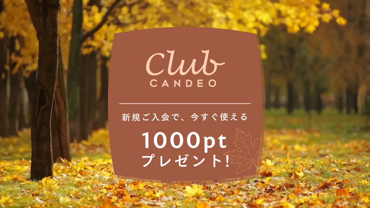 【公式】カンデオホテルズ tweet media
