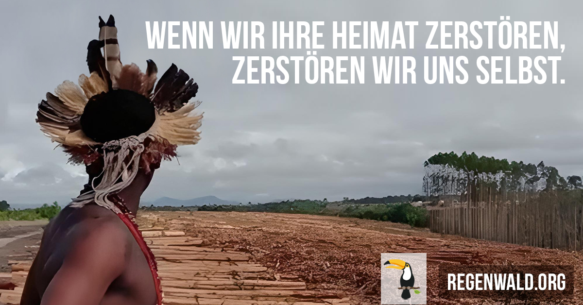 Rettet den Regenwald tweet media