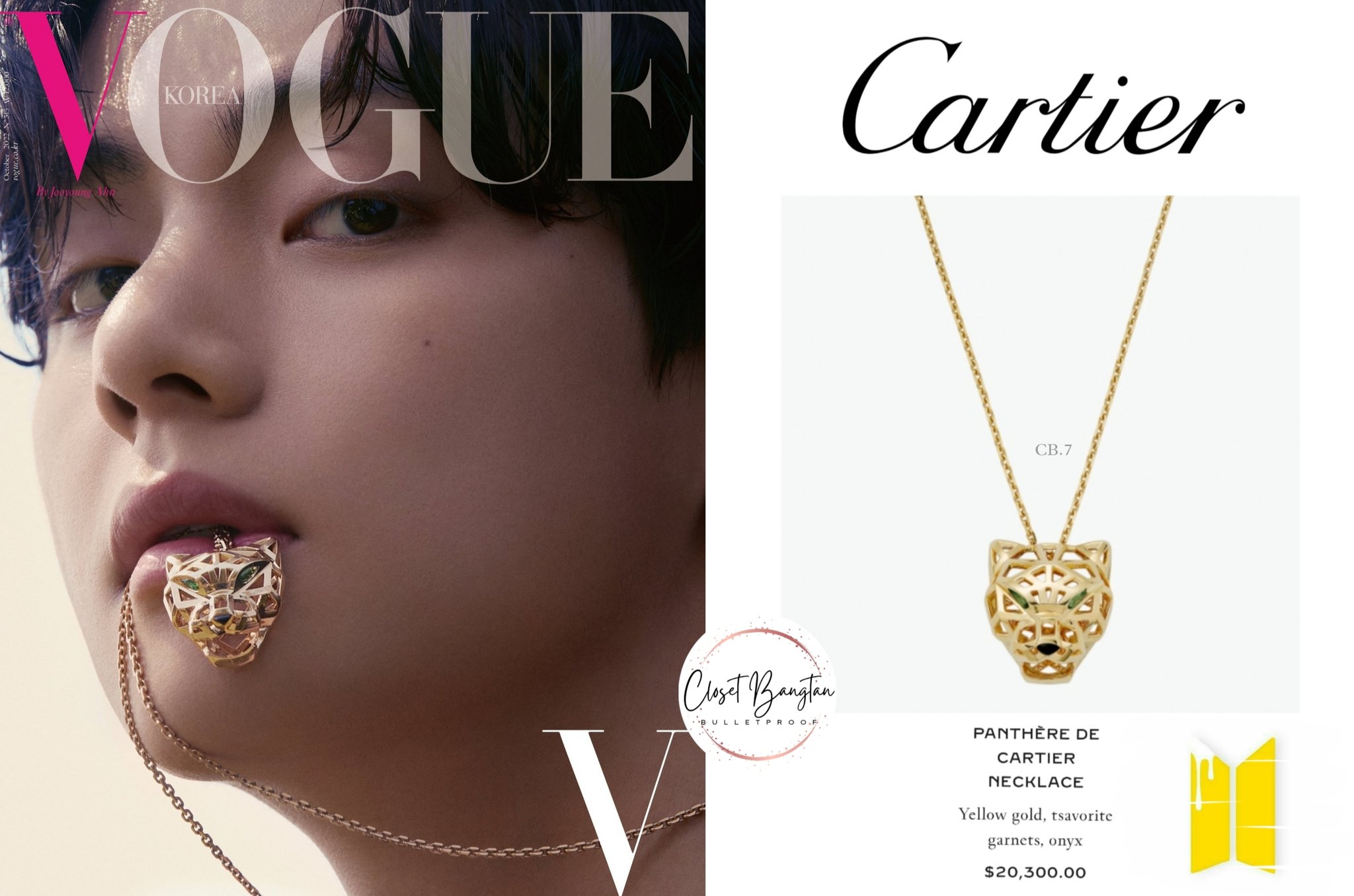 BTS's V (Kim Taehyung) exudes seductive glamour adorned in 'Panthere de  Cartier' jewelry for 'W Korea' magazine