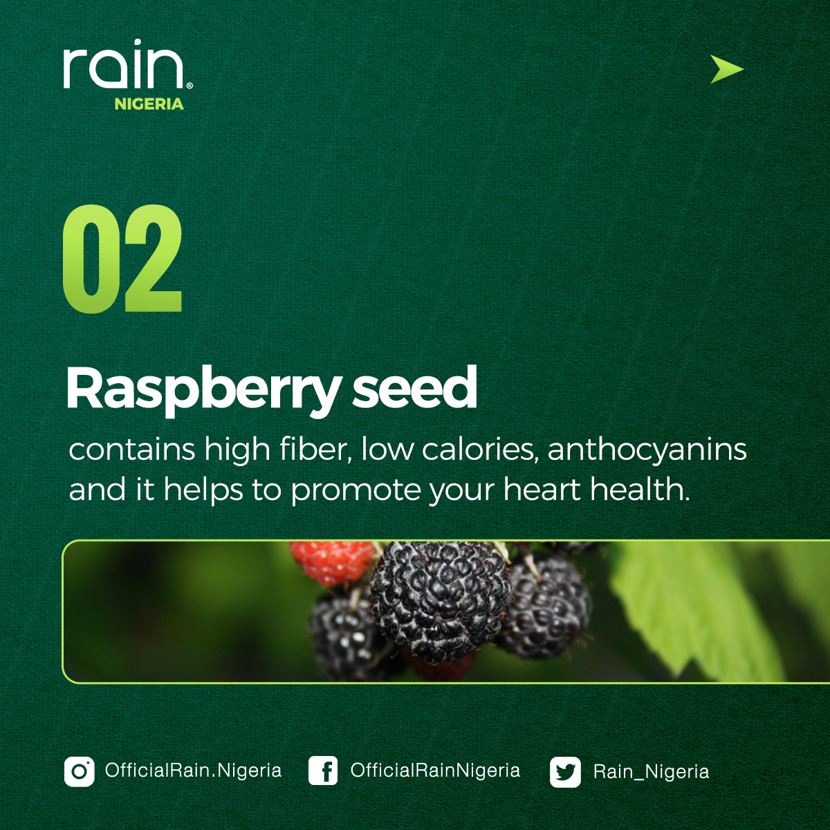 seedsciencenut's tweet photo. Experience the wholesome benefits of the rich seeds in Rain Soul π―
Share, follow, and like to learn more...
#wellness #healthy #nutrition #healthyfood #healthyliving #chardonnaygrapeseed #seeds #blackcumin #raspberryseed #rainsoul #rainnigeria #raininternational #rainintl https://t.co/tY2ppNilAZ