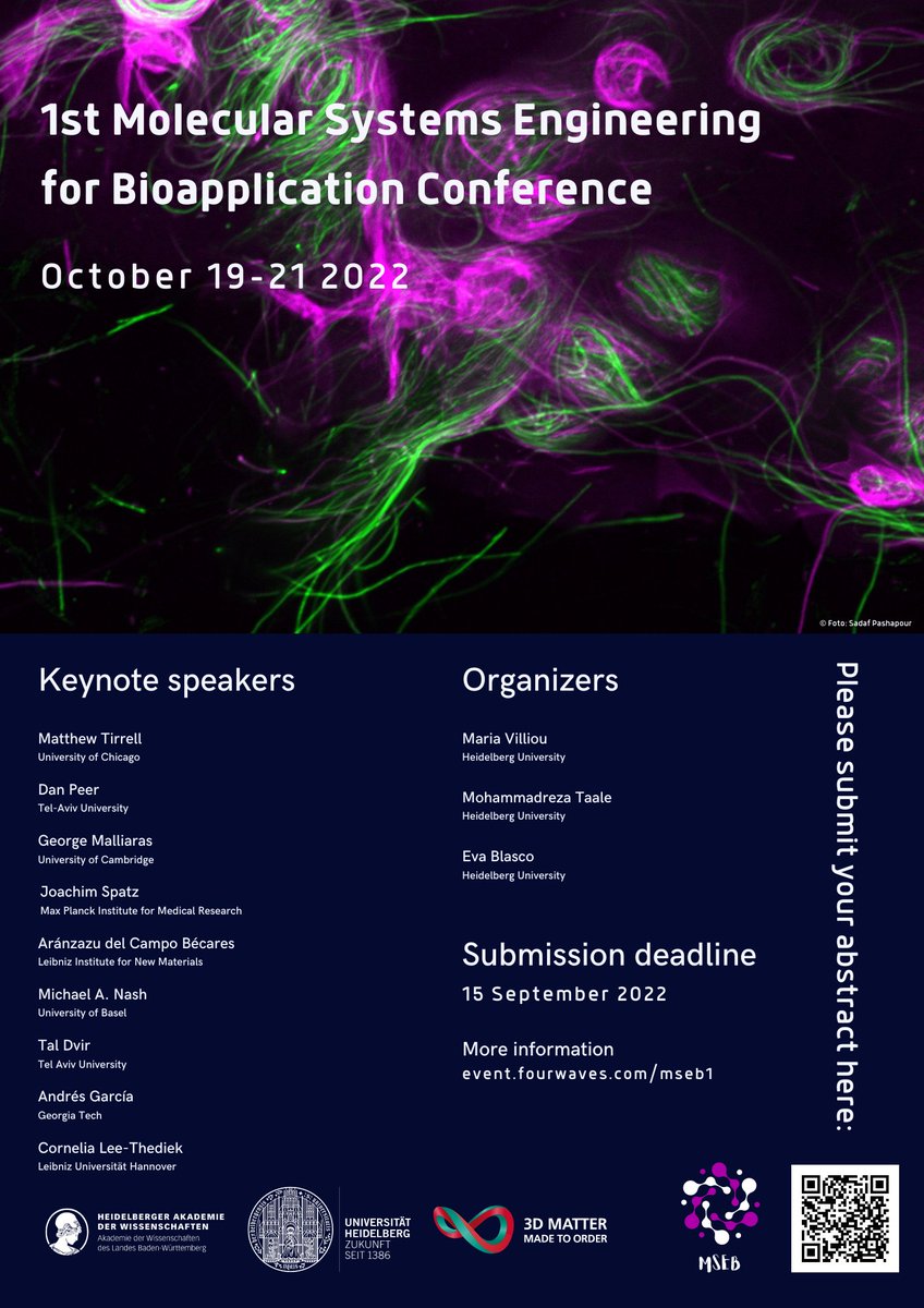 Cluster3DMM2O's tweet photo. Brief reminder: Tomorrow is the abstract submission & registration deadline for the 1st Molecular Systems Engineering for #Bioapplications Conference (MSEB) taking place from October 19-21. Don't miss out on the exciting topics and renowned speakers! https://t.co/JnKjQeZGY7 https://t.co/67xzZbySUc