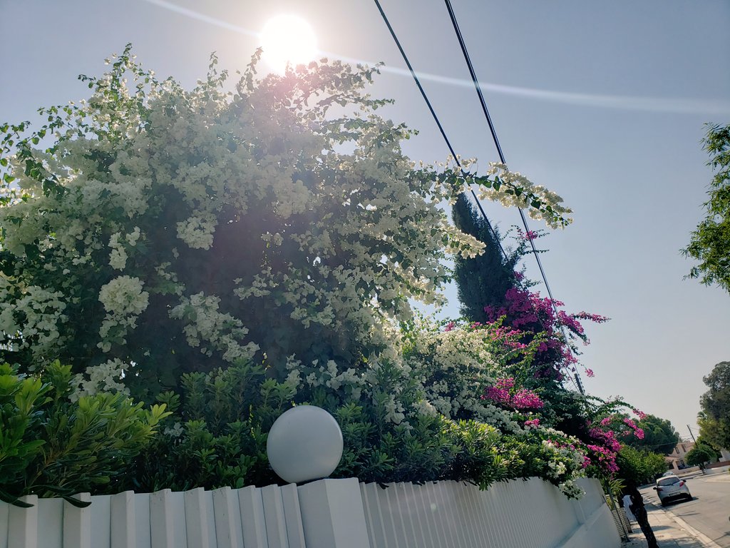 hezziie's tweet photo. Just another beautiful day https://t.co/4Hu0yh0rLi