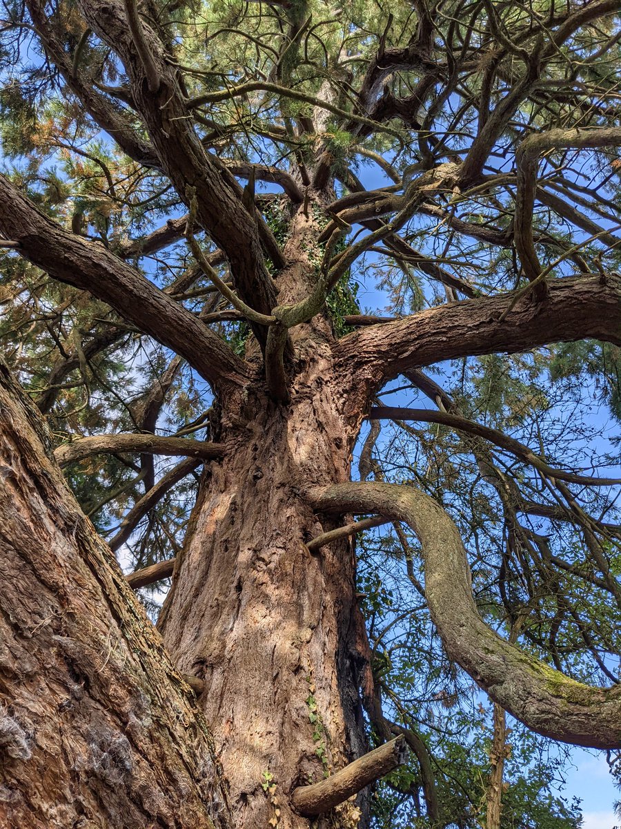 Kevin@Deer Friends tweet media