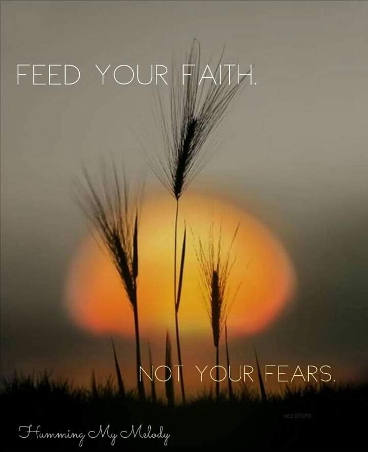 leahgian's tweet photo. 😇💕💕 https://t.co/YVCacQPpzp
