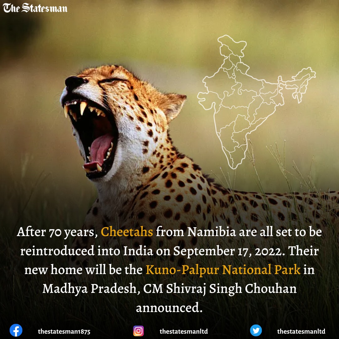 TheStatesmanLtd's tweet photo. Prime Minister Narendra Modi will be inaugurating the reintroduction project of Cheetahs into India at Kuno-Palpur National Park on his 72nd birthday, where 16 Cheetahs will be reinstated.
#cheetahs #cheetah #cheeta #kunopalpur #primeminister #primeministernarendramodi https://t.co/IHyeHZ2Z0S