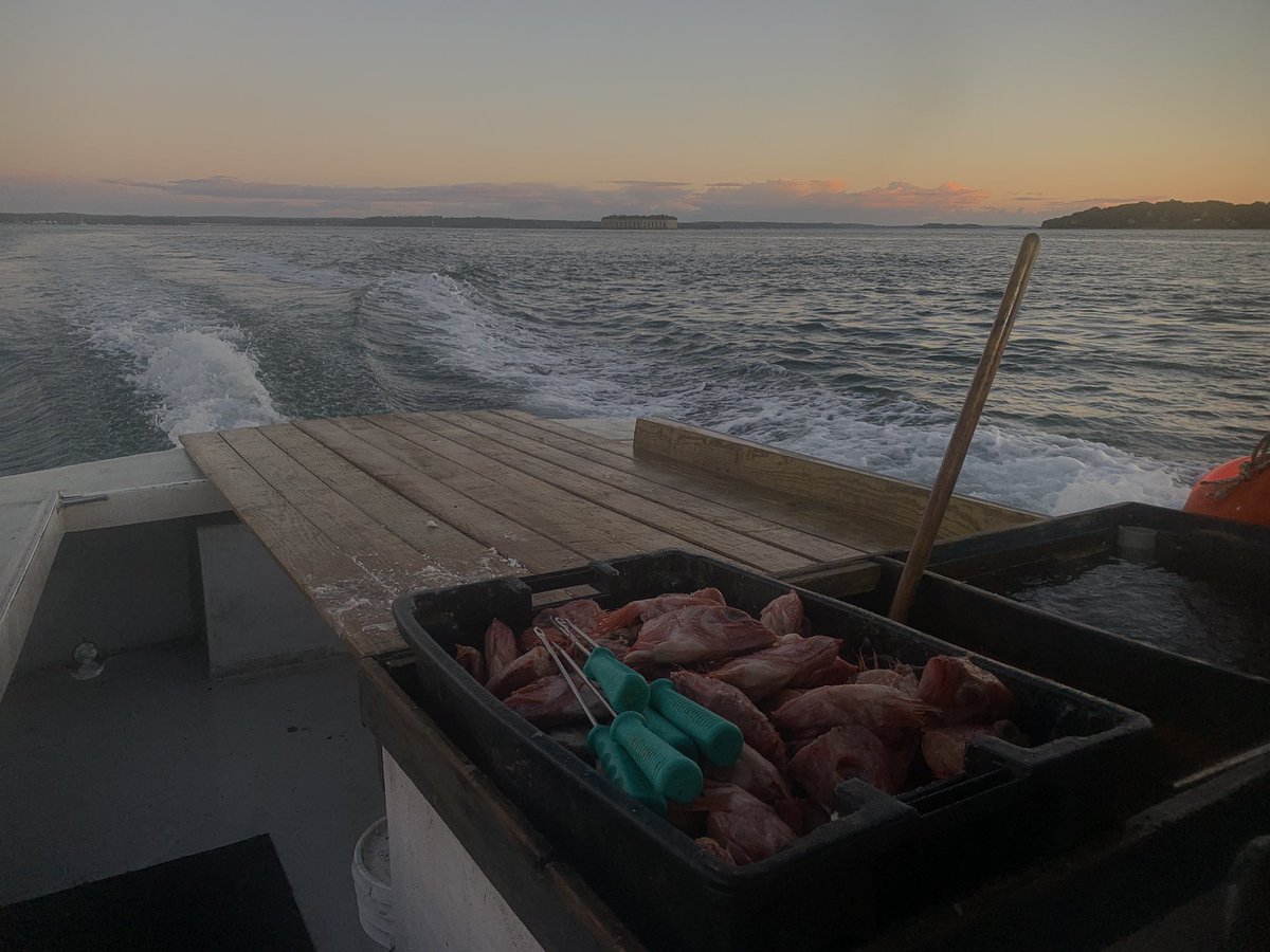 Outbound, need to land some lobsters for upcoming #nationallobsterday. Please celebrate with us and support the lobster fishermen. Eat <a href="/LobsterFromME/">Lobster From Maine</a> on September 25th. Post pics to show your support; we sure could use it right now.