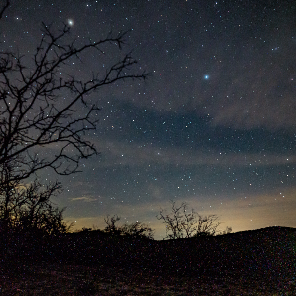 Stars at night are big and bright at this stunning $18.5M Texas ranch dlvr.it/SYJKw8