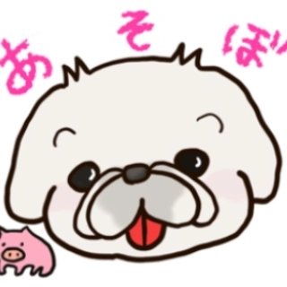 miraclechun's tweet photo. ペキニーズ・ちゅんの、LINEスタンプができました🎵
喜怒哀楽、表情豊かなちゅんがスタンプになって、みなさんを癒やします♡
みなさま是非、よろしくお願いしまぁす😆‼️

https://t.co/1TXsZiDcW1 https://t.co/qHViGvkC1v