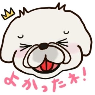 miraclechun's tweet photo. ペキニーズ・ちゅんの、LINEスタンプができました🎵
喜怒哀楽、表情豊かなちゅんがスタンプになって、みなさんを癒やします♡
みなさま是非、よろしくお願いしまぁす😆‼️

https://t.co/1TXsZiDcW1 https://t.co/qHViGvkC1v