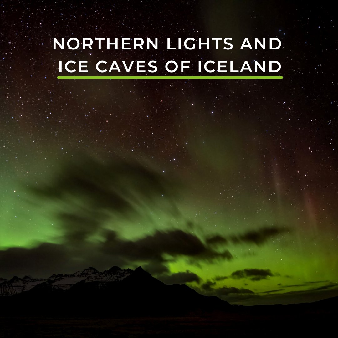 Wild Eye tweet media