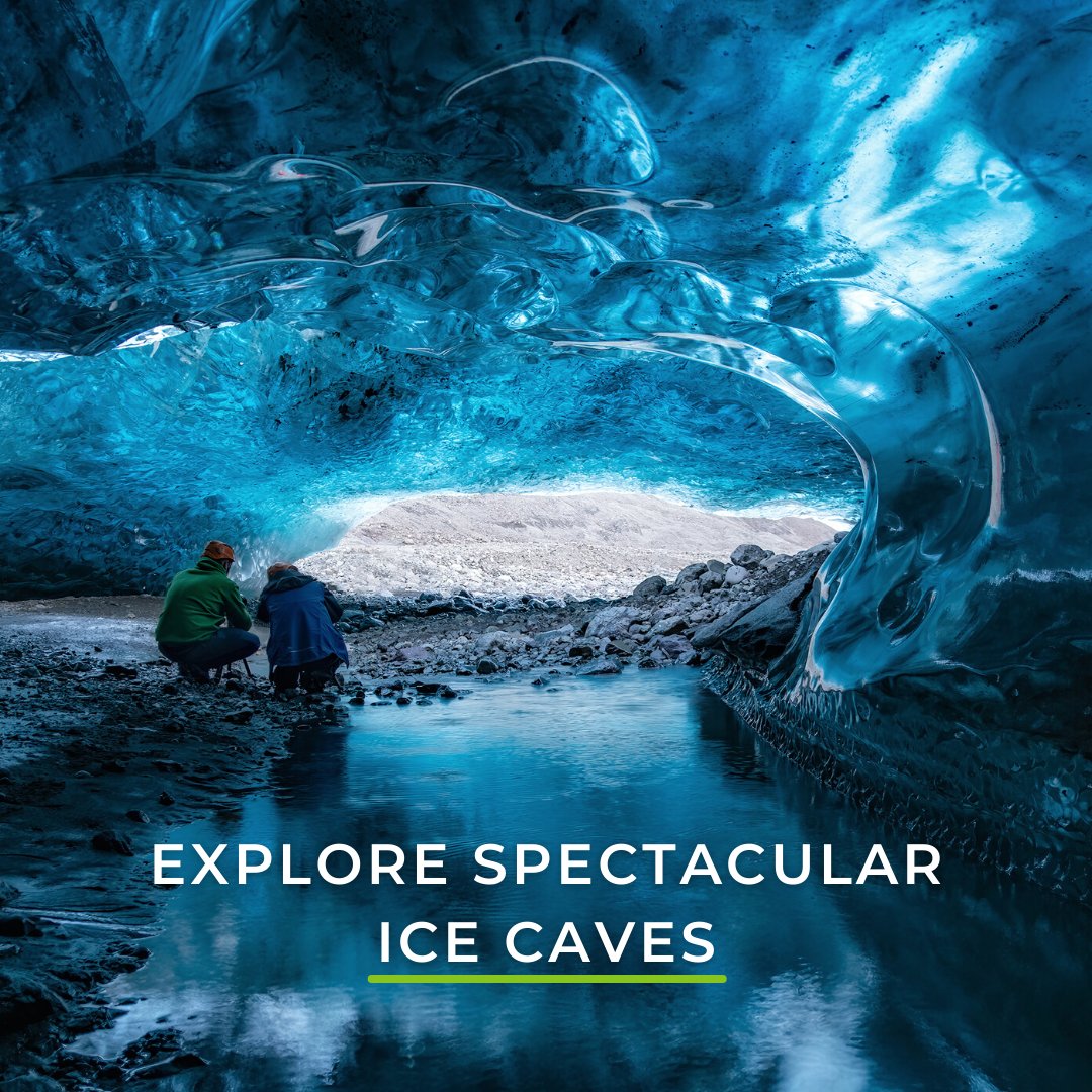 Wild Eye tweet media