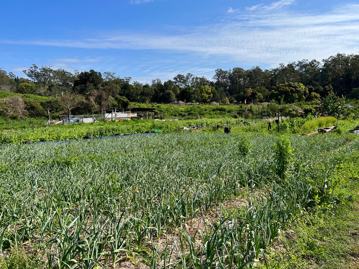 Daniel Bourke tweet media