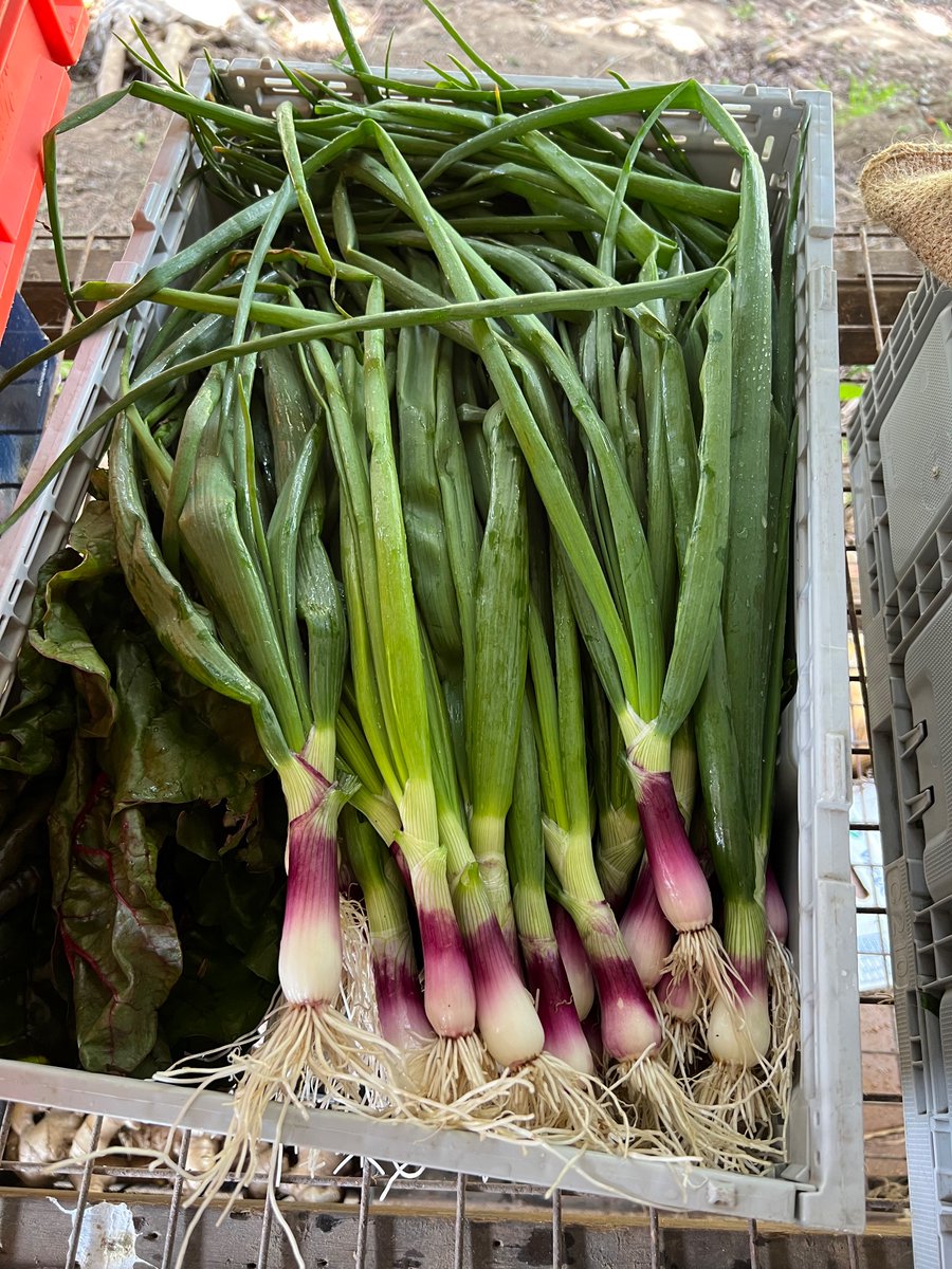 Daniel Bourke tweet media