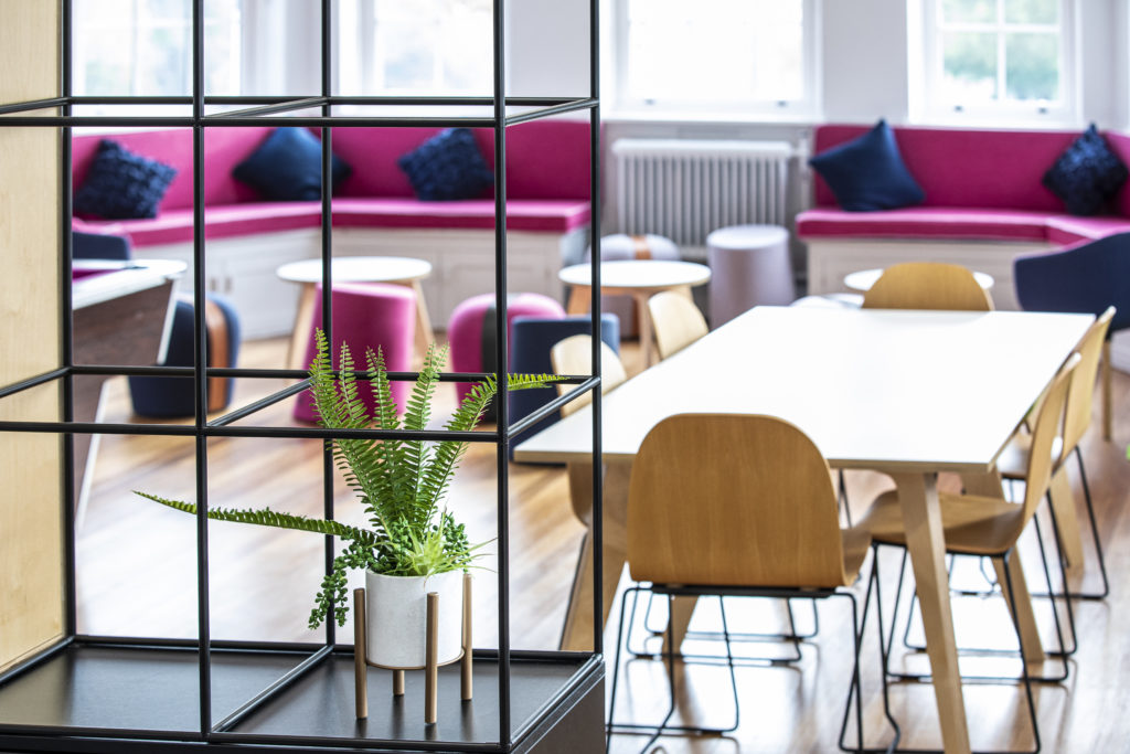 EnvoplanUK's tweet photo. How many plants do you have around your school?
https://t.co/HghMqk4ZO5
#envoplan #educationenvironment #learningenvironment https://t.co/K89Gg2Sk8U
