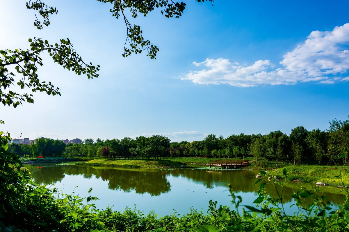 BeijingDiscover's tweet photo. A new green lung south of Beijing! Nanyuan Forest Wetland Park, with a planned area of 17.5 km², will inject impetus into the construction of Beijing as an eco-friendly city. 💚💚✅
#LastDecadeInBeijing #GreenBeijing #DualOlympicCity #BeijingDevelopment (Photo: Beijing Daily) https://t.co/DsI09naXx2