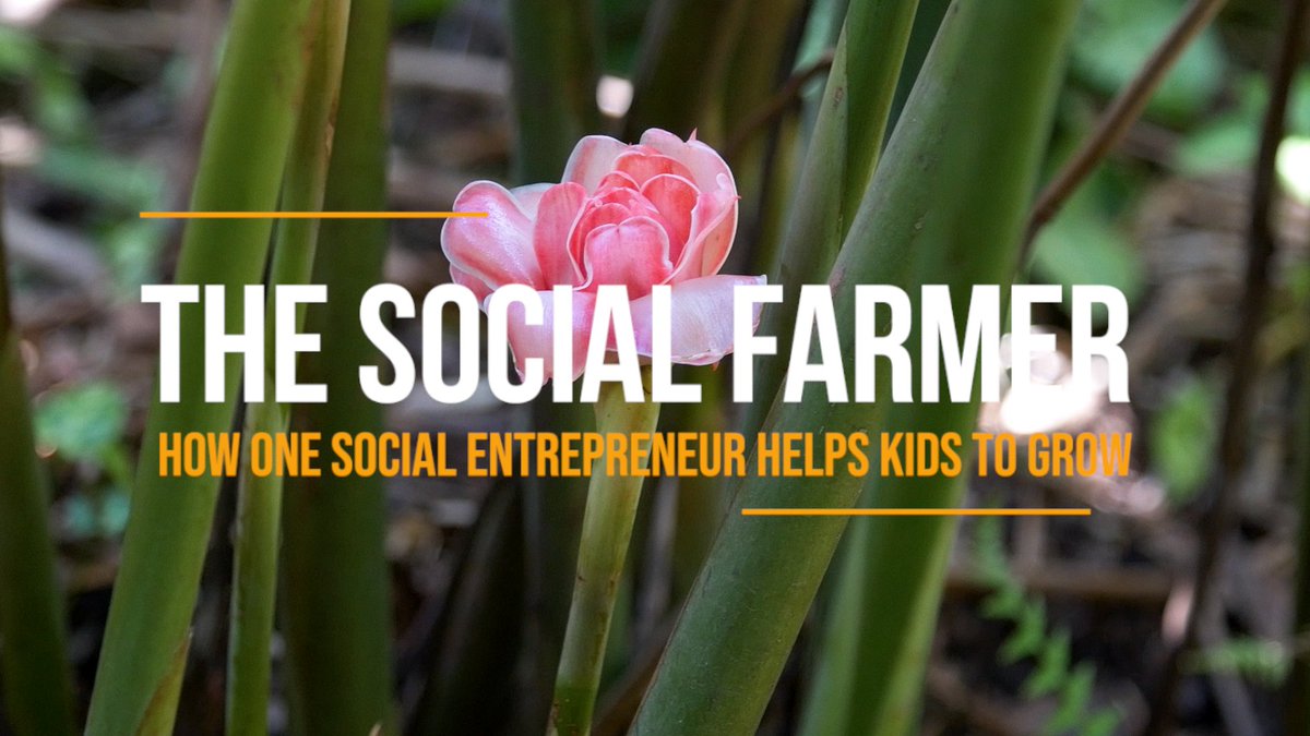 The Social Impact Files tweet media