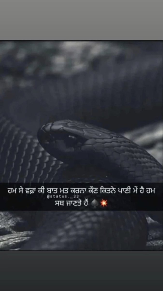 ਮਲਵੈਣ 🦋💫 tweet media