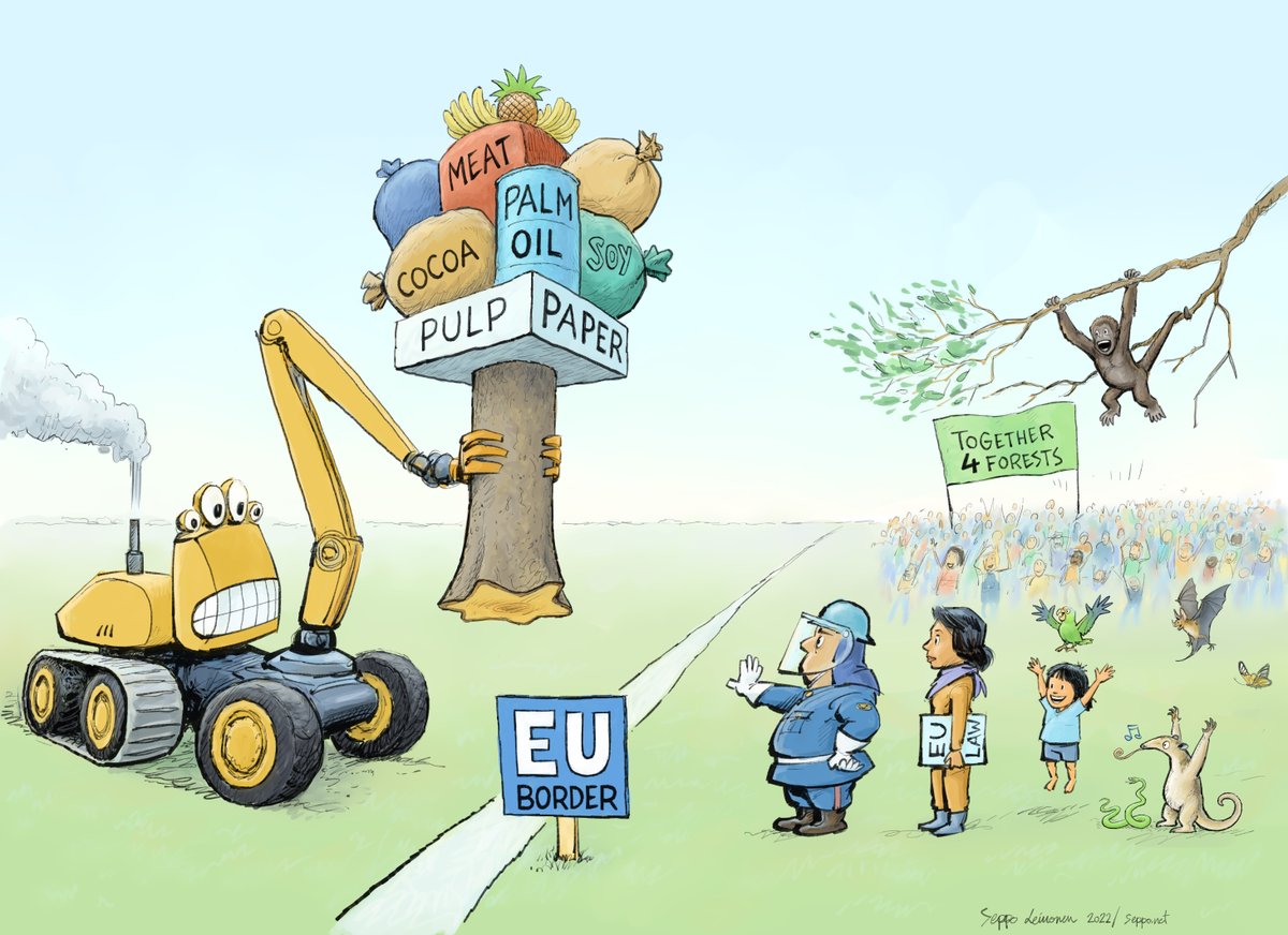 BizBioIrl's tweet photo. The European Parliament has voted for a strong #Deforestation law which companies placing products on the EU market & financial sector will have to abide by:
✅ more checks
✅ more products covered
✅ clearer definitions #ForNature
#TogetherForForests
👉 https://t.co/hhdaB0lpOp https://t.co/8RATF9tZPX