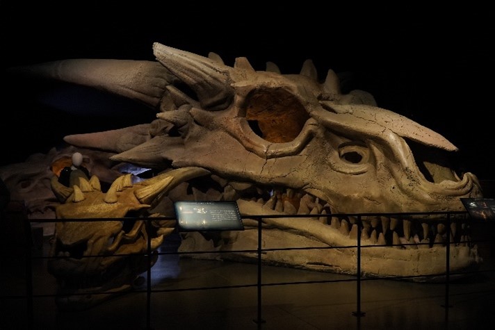 GoToIrelandME's tweet photo. The world of Westeros has returned to our screens in Game of Thrones® prequel House of the Dragon, so now’s a better time than ever to visit the world’s only official Game of Thrones Studio Tour in Northern Ireland! The Seven Kingdoms await… #GOTST
@gotstudiotour https://t.co/foBk4tKCOH