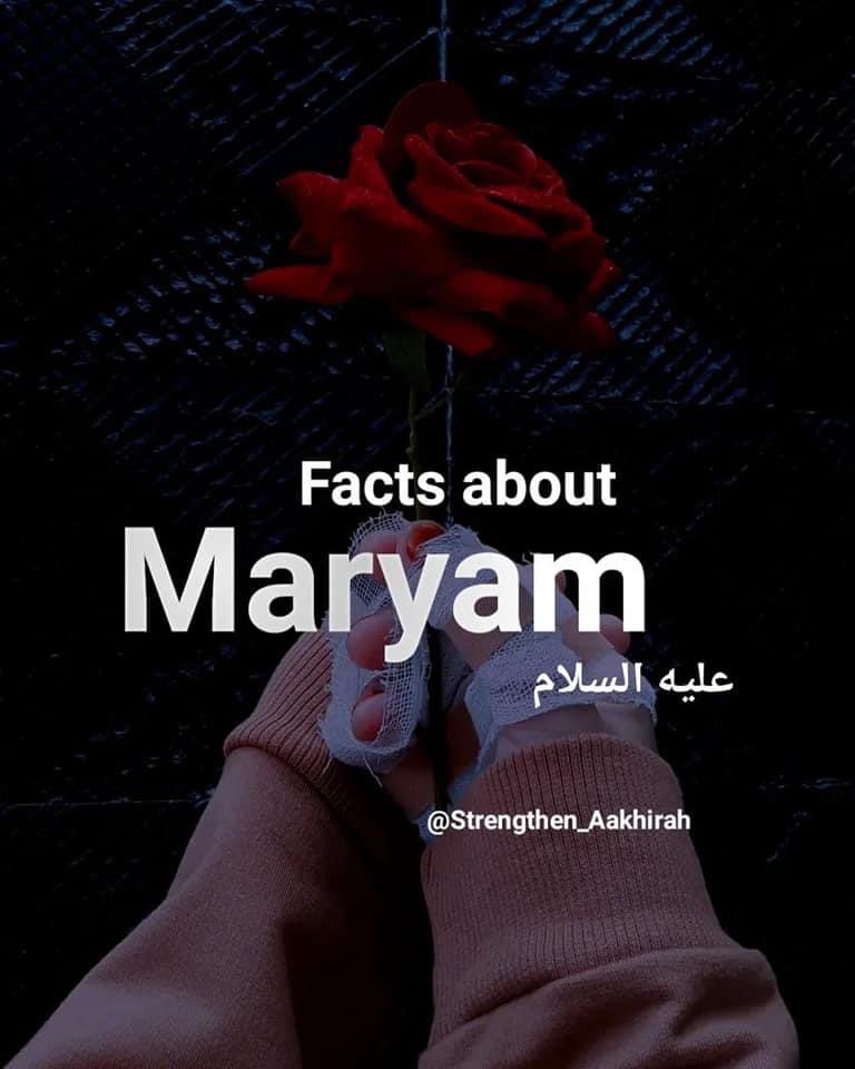 mallambby1's tweet photo. Maryam is humble and nice 🤍 love and kind https://t.co/OrJf8NkA2a