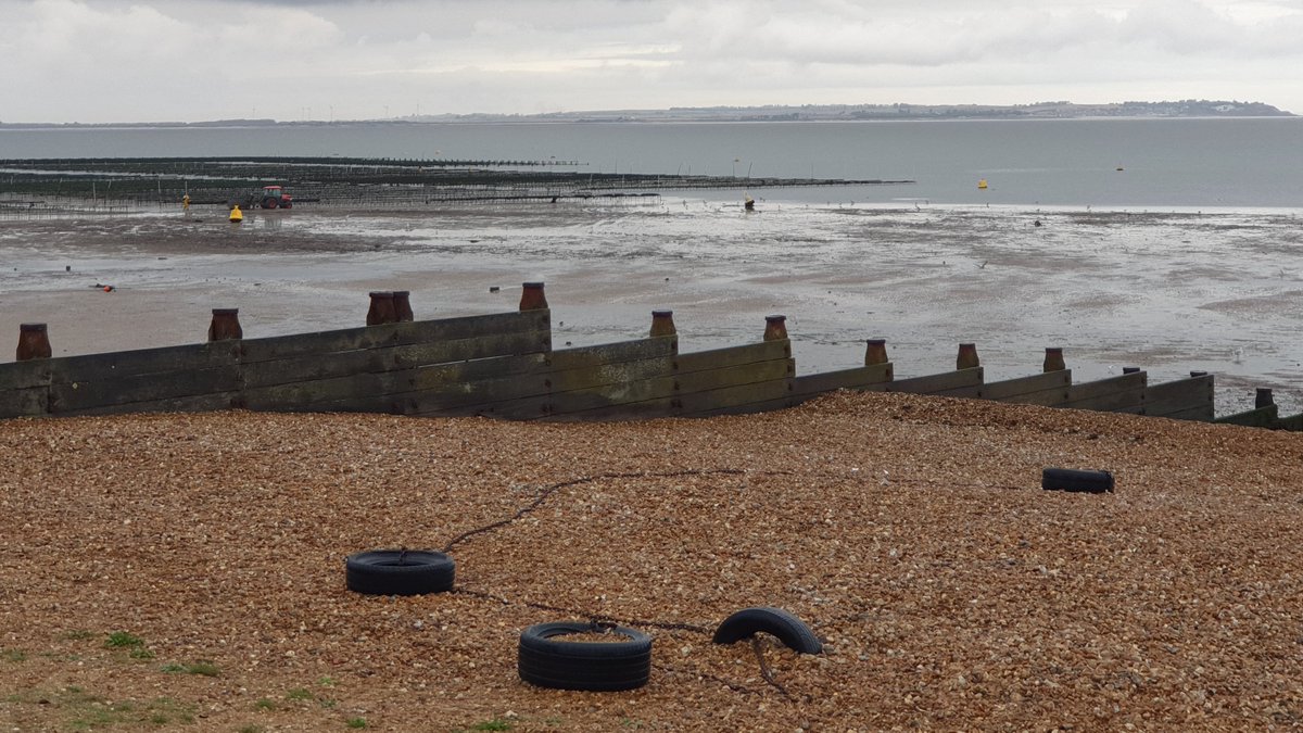 gril ‎ ‎ ‎ ‎ ‎ ‎ ‎ ‎ ‎ ‎ ‎ ‎ ‎ ‎ ‎ ‎ ‎ ‎ ‎ ‎ 🐙🍳 tweet media