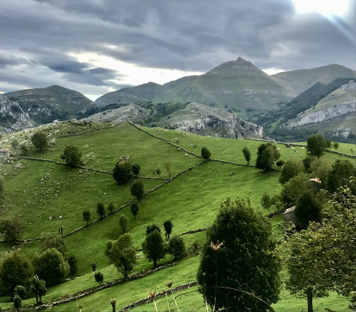 LaLleldiria's tweet photo. La falta de relevo generacional, el cambio a ganado cárnico, la dificultad de acceso al suelo, la presión económica de un mercado dopado, las amenazas de industrialización… hacen que este paisaje esté en peligro de extinción. #paisajecultural #vallespasiegos https://t.co/r14Ls9Esy5