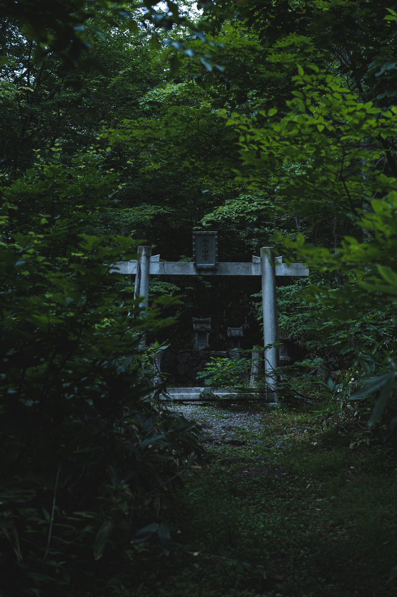 ishikawasigure's tweet photo. ところで、こういう暗い写真がめちゃくちゃ好きで、個人的には暗い写真しか撮ってません笑
もう夏も終わりですな。。 https://t.co/B8vuaLV3bE