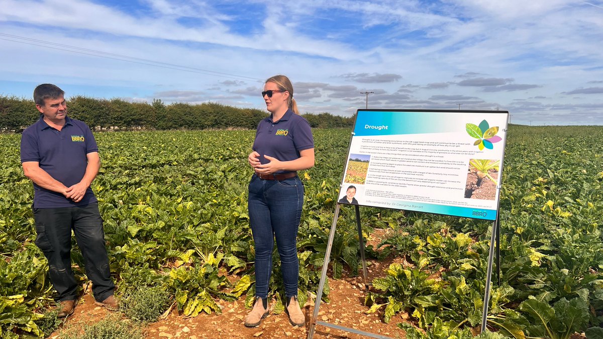 NFUSugar's tweet photo. @BBRO_Beet out in force for #BeetField22 at Bracebridge yesterday https://t.co/FKdRqsni3G