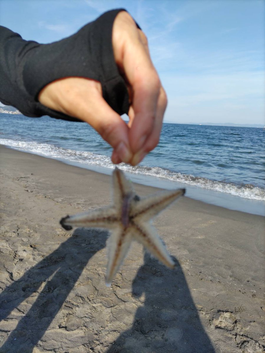 ct_fishing's tweet photo. 釣りの基本のひとつ「投げ釣り」を学び、体験していただきました
多種多様な魚と出会うことができ、楽しい釣行になりました
ご参加いただいた皆様、ありがとうございます
次回は9/28を予定しています🎣

https://t.co/j2DL7Jon5q

＃シロギス ＃コトヒキ ＃フグ ＃ヒトデ ＃釣り教室 ＃CT釣り部 https://t.co/DYtpx0DdCR