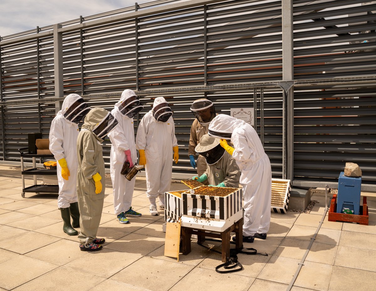 The Lumen, Newcastle Helix tweet media