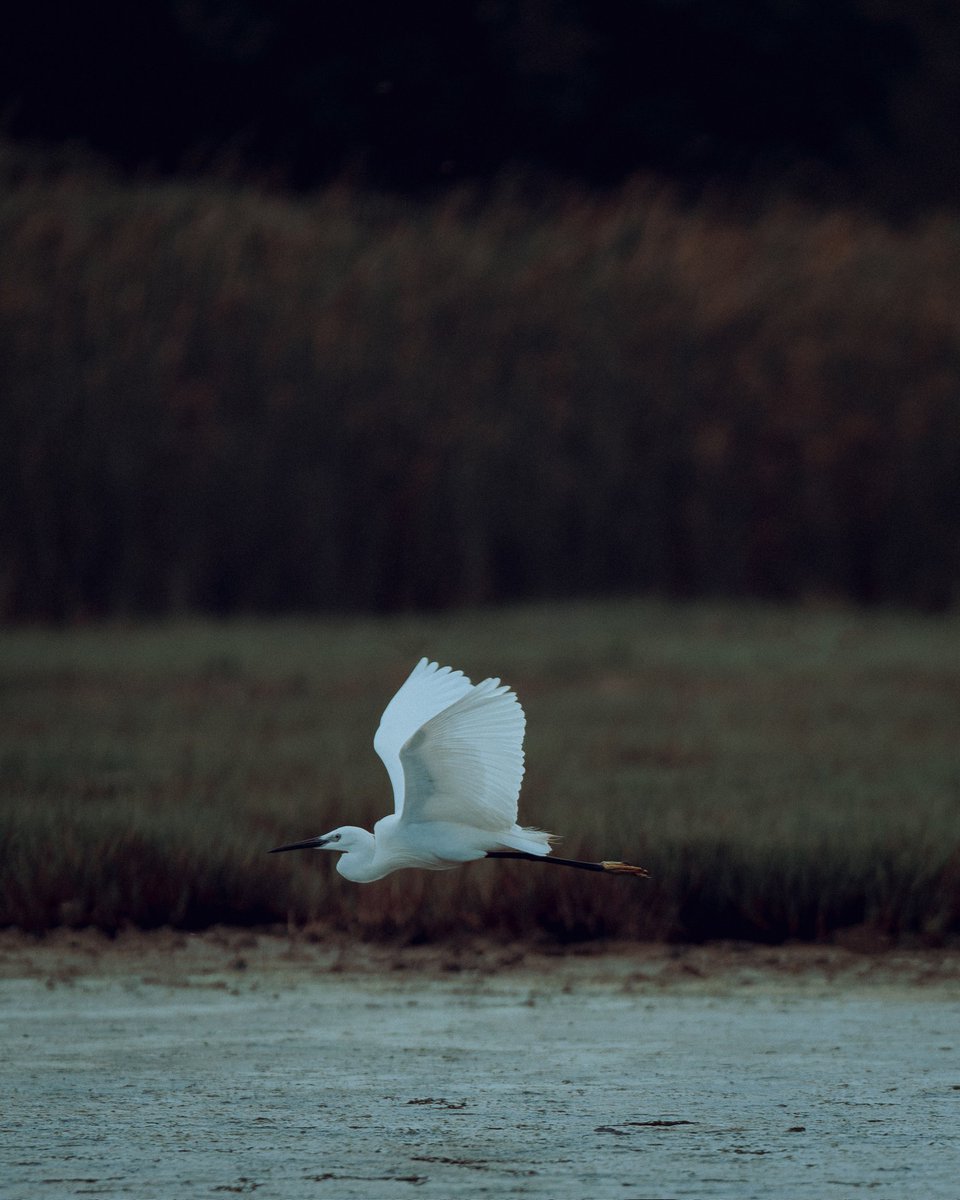 GM everyone! Is it too late to create editions? 🫣🤔