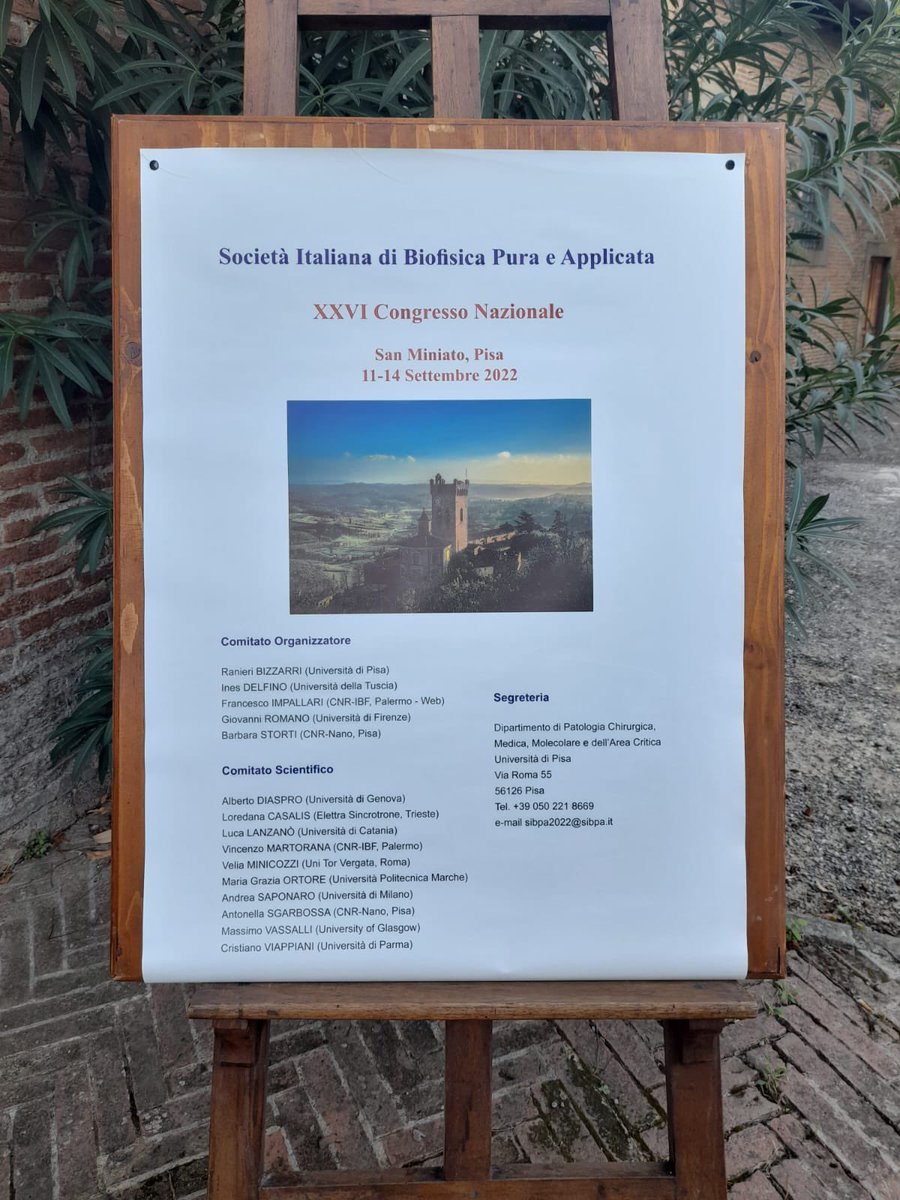 NBSY_group's tweet photo. It was very nice to participate in the XXVI National Congress of  @SIBPA_ with the talk about "Diatom-derived nanodevices for biomedicine"!

#nbsy #nanomedicine #biomedicine #nanotechnology #diatom #cnr #science #biophysics https://t.co/R01i4zBvDG