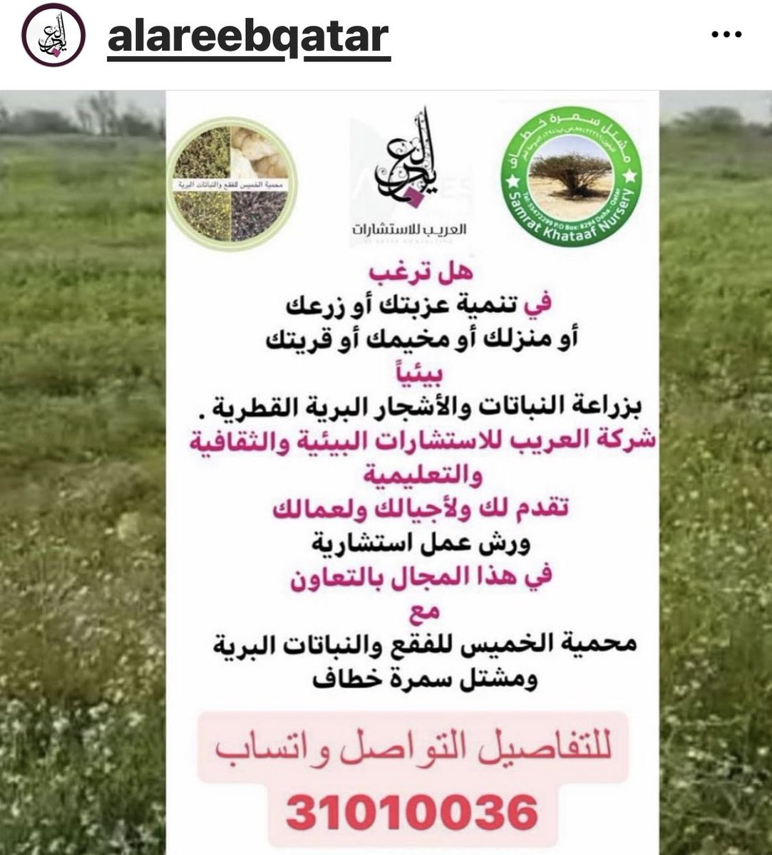 #ظبية_بنت_عبدالله بن محمد السليطي tweet media