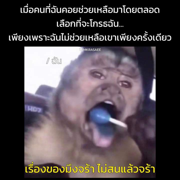 WaySangdao77's tweet photo. จย้าาาาาา https://t.co/MyFRAwnEm0
