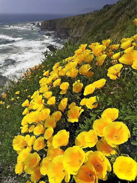 tanosiisupi_bot's tweet photo. Even at this moment, a lot of Souls are visiting Earth in search of moving experiences unavailable in the hometown of Soul.

魂の故郷にはない感動体験を求め、この瞬間も、多くの魂達が地球を訪れています。

#EarthStay #地球滞在
RP @DvFati https://t.co/pJy8WSvZLE