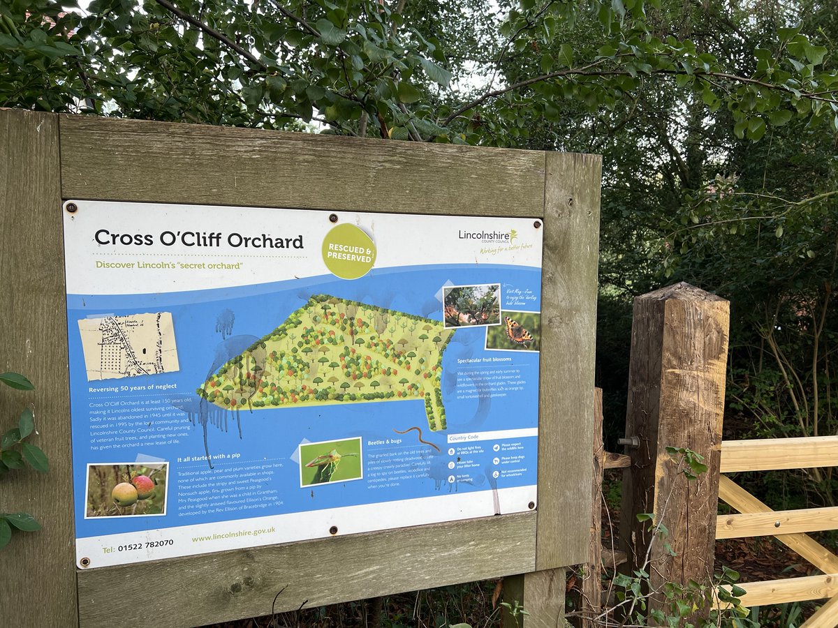 kidnapped_teddy's tweet image. Lovely 5 mile morning walk, taking in Cross o’Cliff orchard &amp;amp; Lincoln south common.

#Cathedralviews
#freeapples