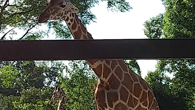 ビュンッ 